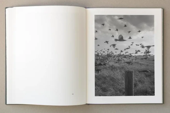 Interior del fotolibro "The Pillar" de Stephen Gill, premiado como Mejor Libro de Fotografía del Año por el festival PhotoEspaña 2020 en la categoría internacional
