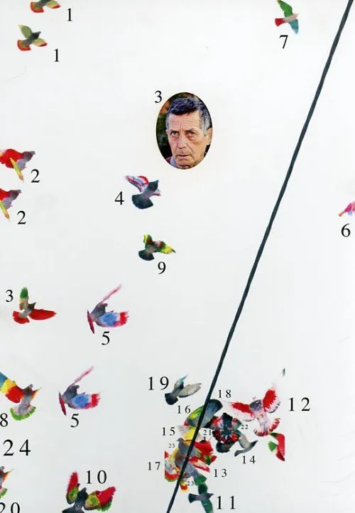 Cubierta del fotolibro Paloma al aire de Ricardo Cases. 