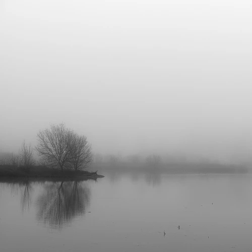 Paisaje en blanco y negro con niebla del libro "Gotes" de Xavier Manrique.