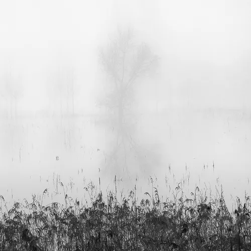 Paisaje en blanco y negro con niebla del libro "Gotes" de Xavier Manrique.