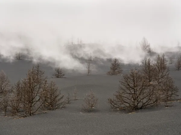Las cuatro estaciones del volcán Tajogaite en ochenta y cinco vistas de Eduardo Nave