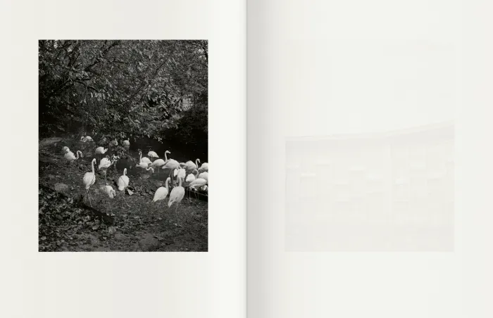 Interior del fotolibro On nous a dit qu’il n’y avait rien et nous sommes allés le chercher de Israel Ariño