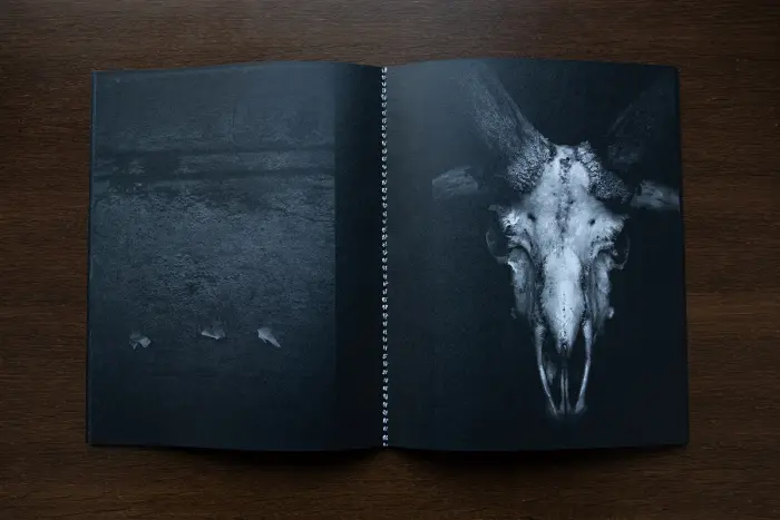 Interior del fanzine "La mala fortuna" de Alejandra Vacuii