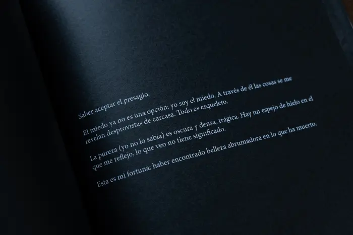 Interior del fanzine "La mala fortuna" de Alejandra Vacuii