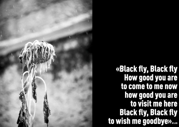 Interiro del fotolibro "Black" de Ernesto Costante.