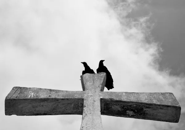 Interiro del fotolibro "Black" de Ernesto Costante.