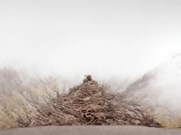 Imagen generada con inteligencia artificial en el interior del fotolibro D-AI del dúo artístico Rojo Sache.