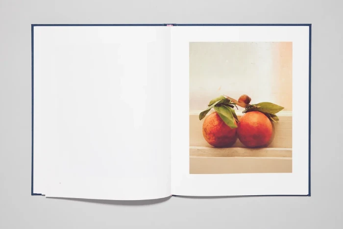 Interior del fotolibro "Bedfellow" de Caroline Tompkins.