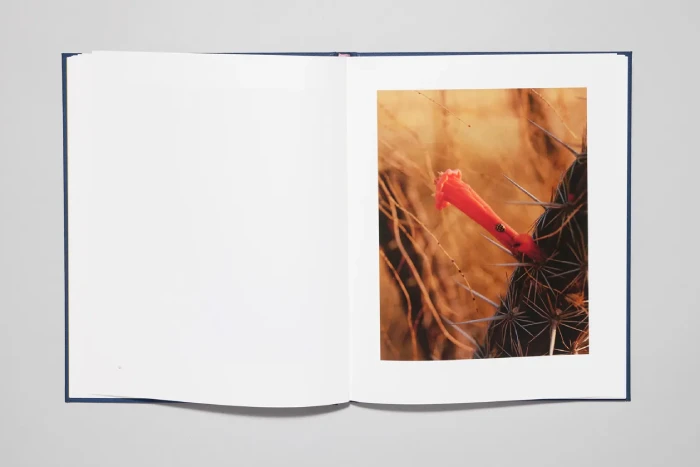 Interior del fotolibro "Bedfellow" de Caroline Tompkins.