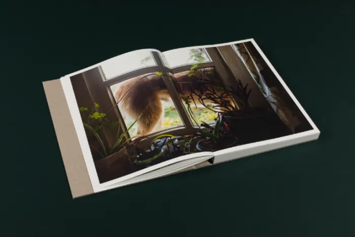 Interior del fotolibro "One shower a week" de Mariet Dingemans