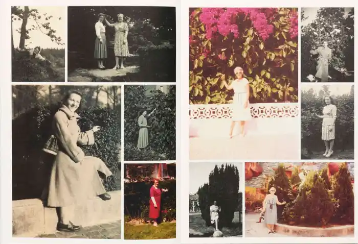 Interior del fotolibro Incomplete Encyclopedia of Touch