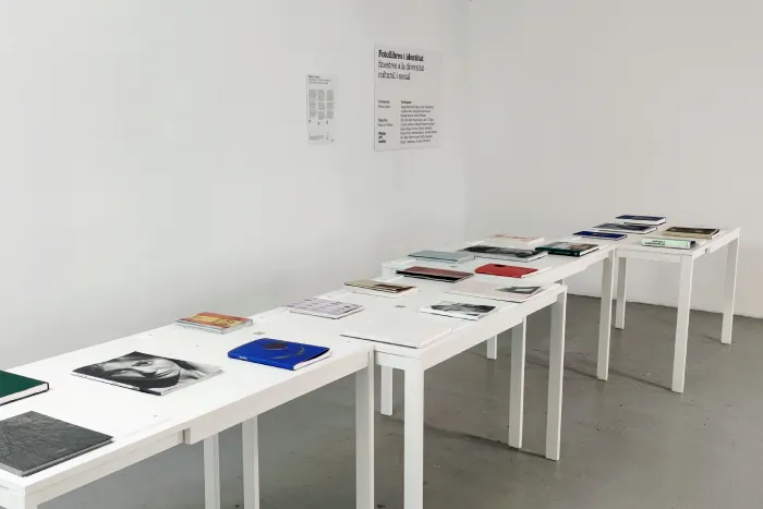 Fotolibros e identidad: ventanas a la diversidad cultural y social: exposición de Photo Art Books para el festival Revela’t 2024.