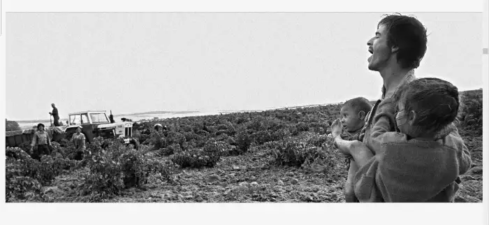 Interior del fotolibro "Fotologías" del fotógrafo Ramón Zabalza.