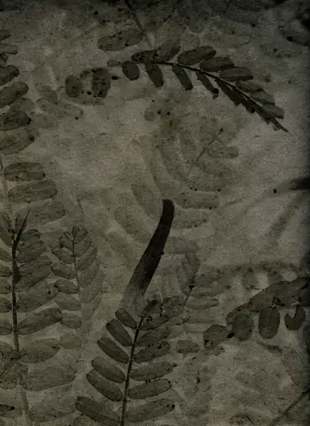 Naturaleza muerta en el interior del fotolibro Ctonio de Alessandra Calò.