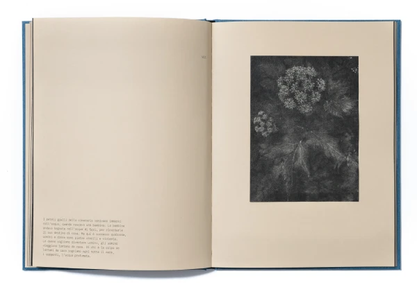 Interior del fotolibro Ctonio de Alessandra Calò.