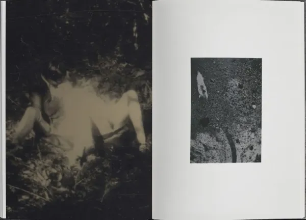 Interior del fotolibro "And Then There Was the Night" de Magdalena Wysocka & Claudio Pogo