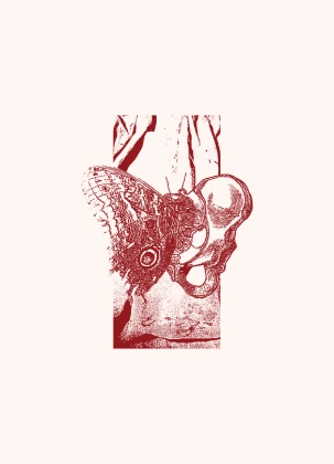 Cubierta del fotolibro "Não Reagente” de Priscilla Buhr