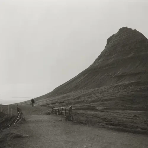 "Gone too far" de Atef Tabi.
