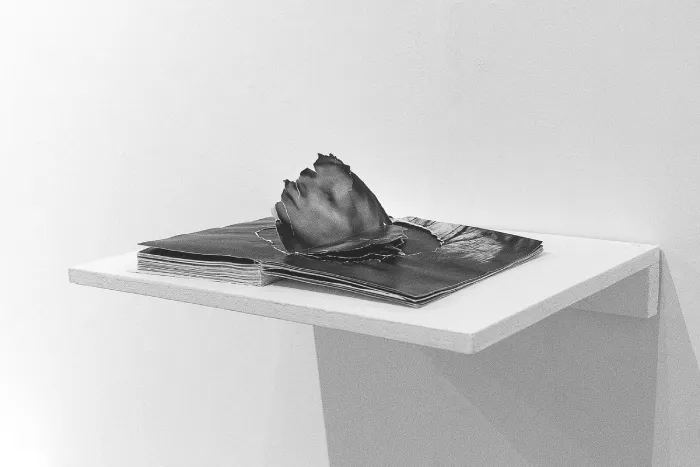Escultura-fotolibro "The Abysm" del fotógrafo Gareth Phillips.