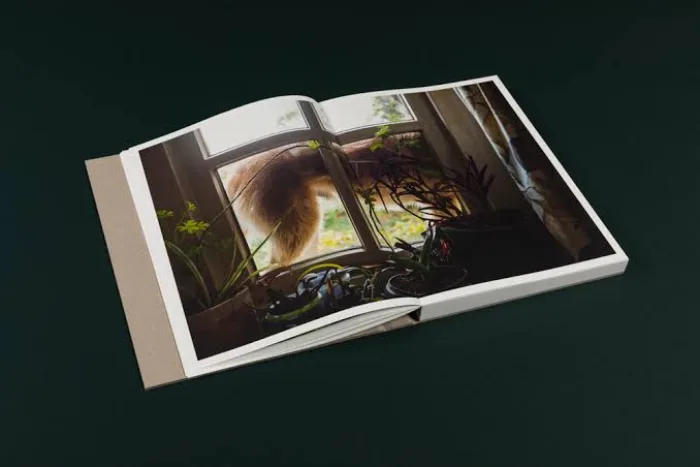 Interior del fotolibro "One shower a week" de Mariet Dingemans.