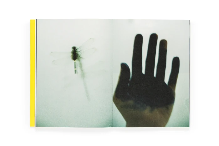 Interior del fotolibro "El menso metió la cabeza en un hormiguero" de Sofía Ayarzagoitia