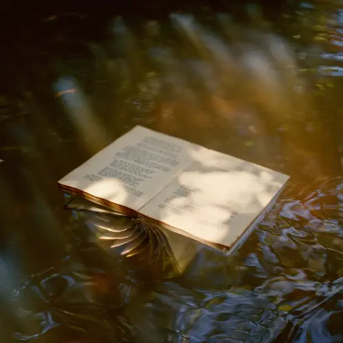 "La sombra de un río" de Mariano Herrera.