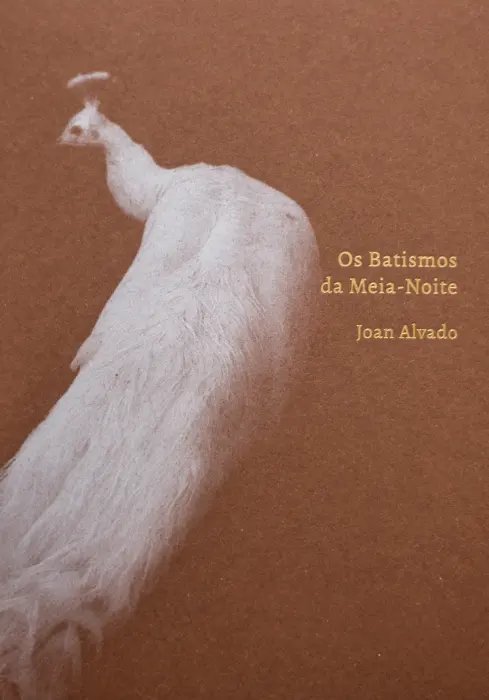 Cubierta del fotolibro "Os Batismos da Meia-Noite" de Joan Alvado.