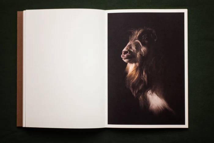Interior del fotolibro "Os Batismos da Meia-Noite" de Joan Alvado.