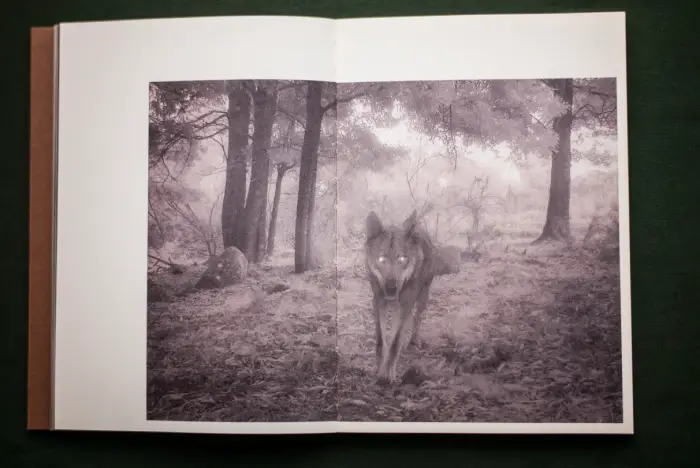 Interior del fotolibro "Os Batismos da Meia-Noite".