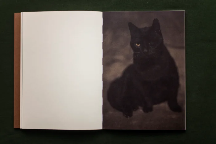 Interior del fotolibro "Os Batismos da Meia-Noite" de Joan Alvado.